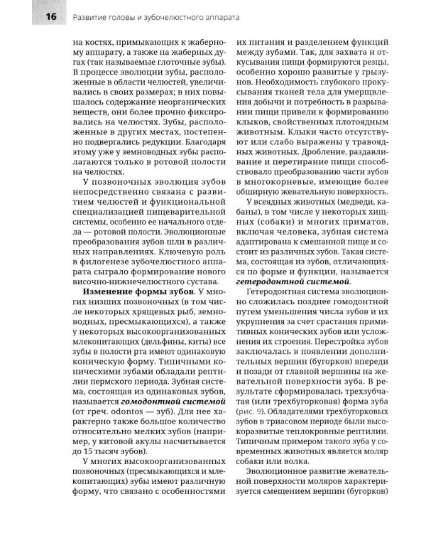 Анатомия головы и зубочелюстного аппарата: Учебное пособие для стоматологов