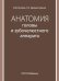 Анатомия головы и зубочелюстного аппарата: Учебное пособие для стоматологов