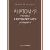 Анатомия головы и зубочелюстного аппарата: Учебное пособие для стоматологов