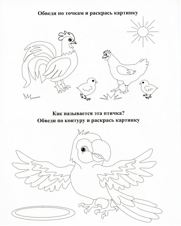 Рисовалочки. Обведи и повтори. Веселые птички: занимательные задания для подготовки к письму. 5 лет