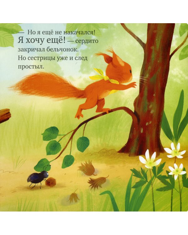 Сердитый бельчонок