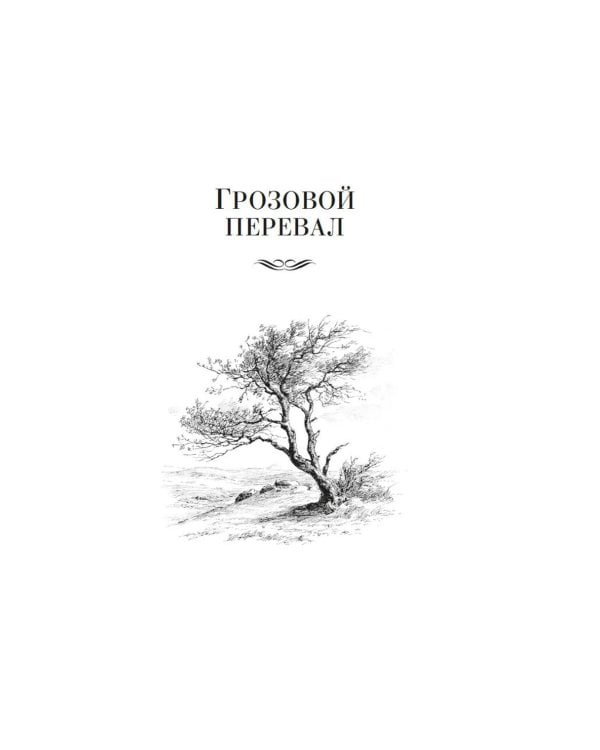 Грозовой перевал. Стихотворения