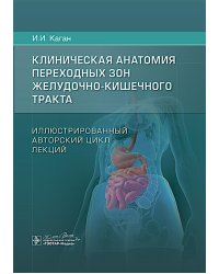 Клиническая анатомия переходных зон желудочно-кишечного тракта. Иллюстрированный авторский цикл лекций