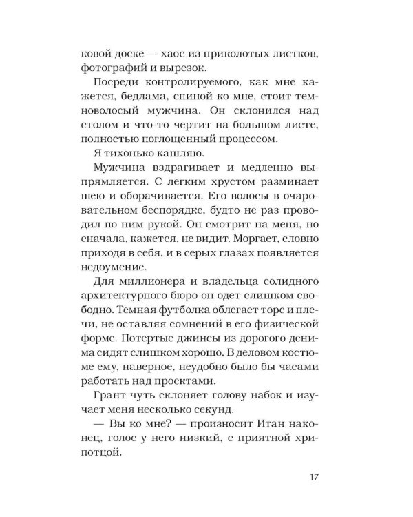Идеальный проект: роман