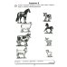 Я готовлюсь стать учеником. Интеллектуальное развитие дошкольников. Тетрадь для самостоятельной работы детей 5-6 лет.