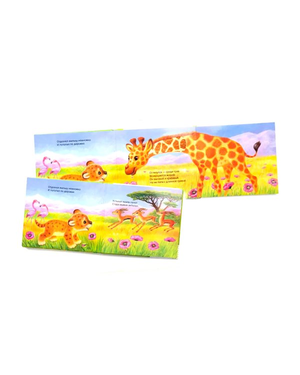 Потрогай и погладь. Львенок