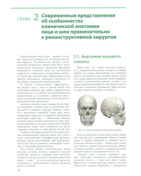 Реконструктивная хирургия лица. Современные методы и принципы: Учебное пособие