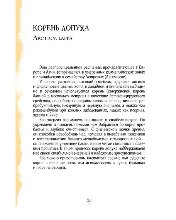 Гримуар благополучия. Как найти опору внутри и жить без тревог
