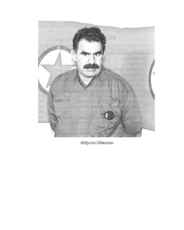 Львы Востока. Революционный ислам против Америки и НАТО