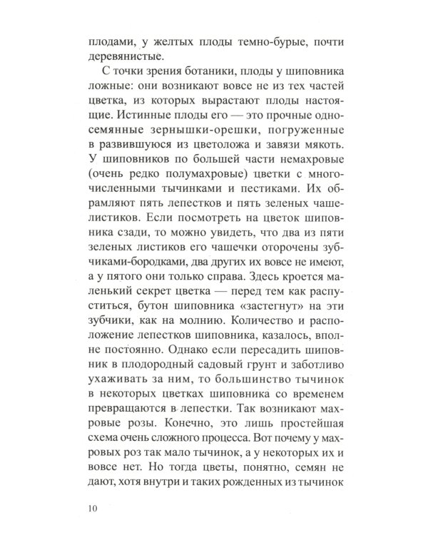 Шиповник: Мифы и реальность