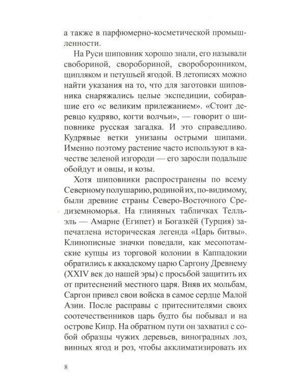 Шиповник: Мифы и реальность