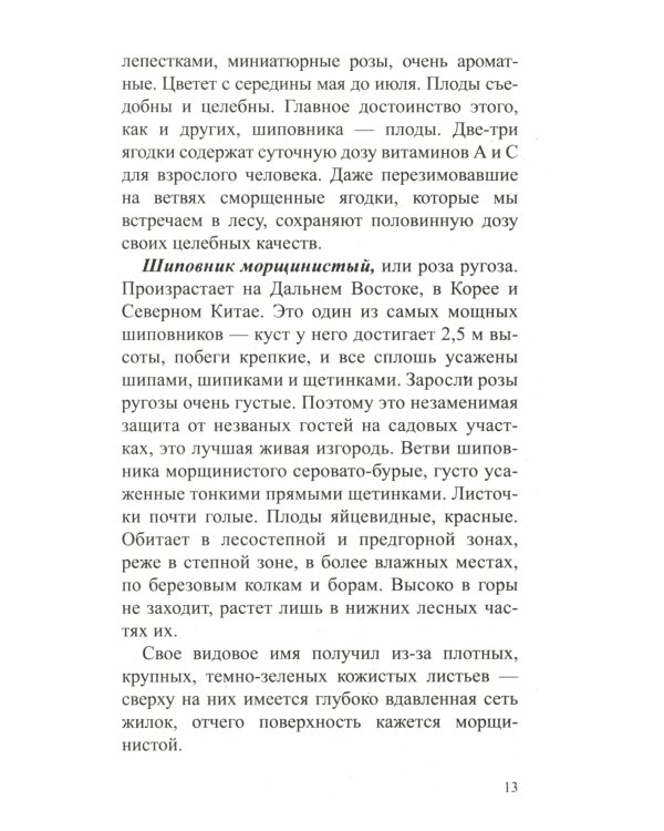 Шиповник: Мифы и реальность