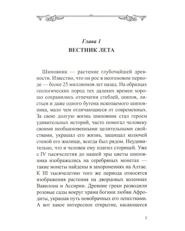 Шиповник: Мифы и реальность
