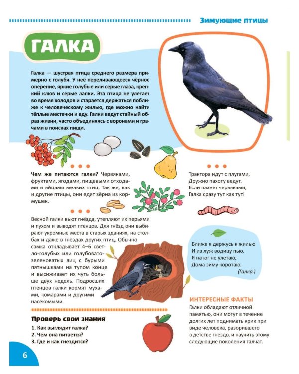 Птицы. Познавательная книга для детей 4-8 лет