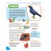 Птицы. Познавательная книга для детей 4-8 лет