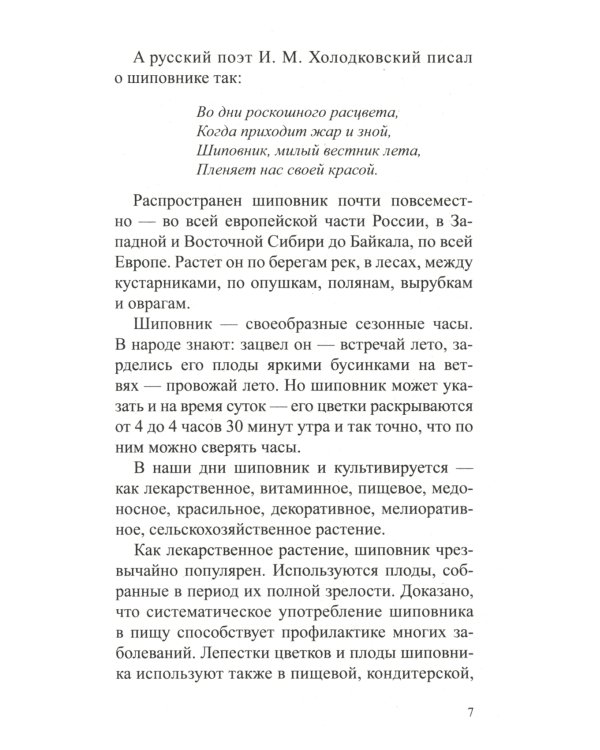 Шиповник: Мифы и реальность
