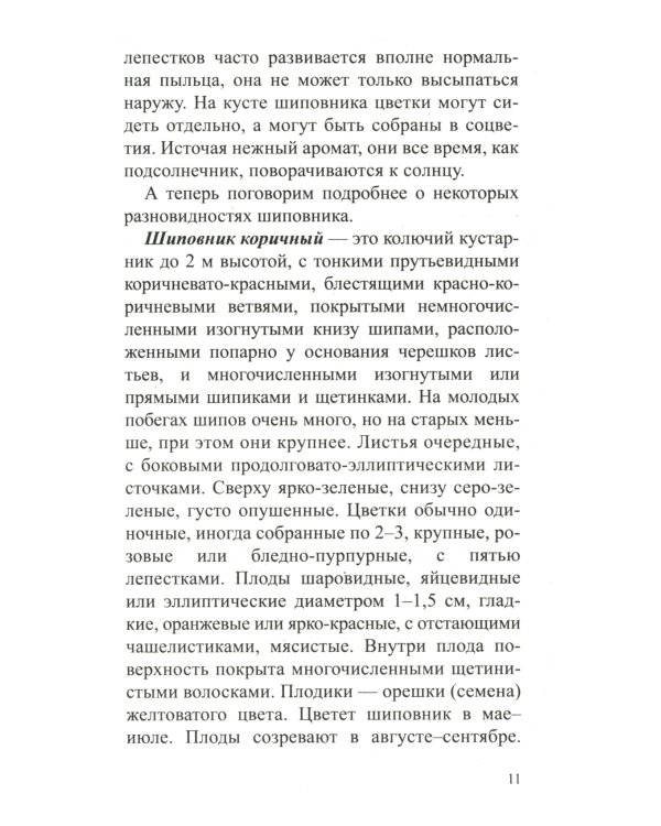 Шиповник: Мифы и реальность