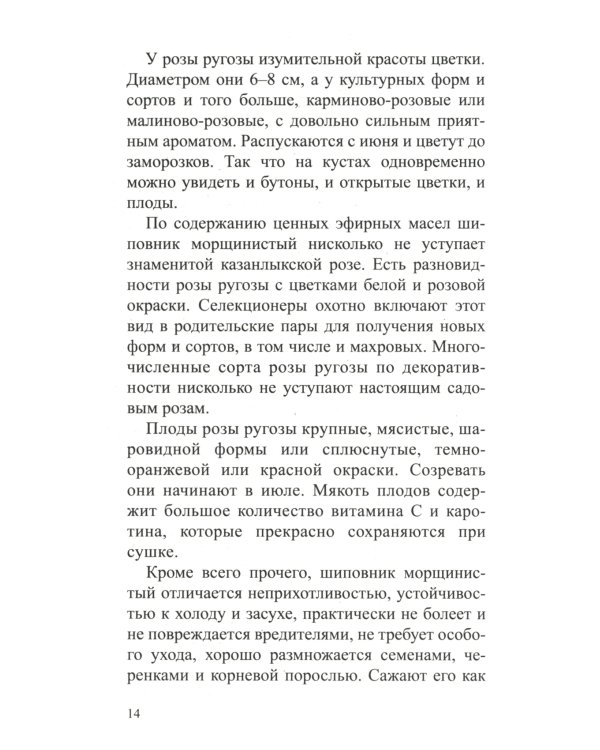 Шиповник: Мифы и реальность