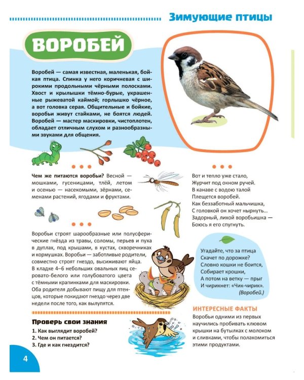 Птицы. Познавательная книга для детей 4-8 лет