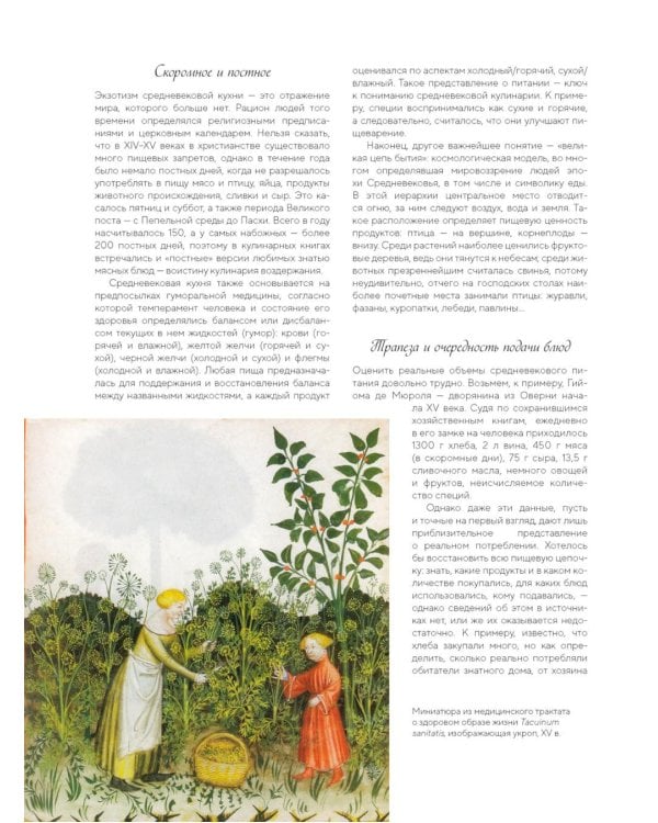 Большая история гастрономии. Кулинарное искусство Франции: от Средневековья до Новейшего времени