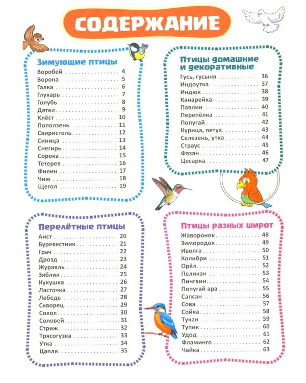 Птицы. Познавательная книга для детей 4-8 лет