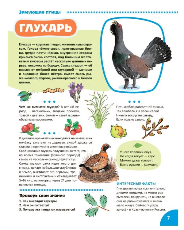 Птицы. Познавательная книга для детей 4-8 лет