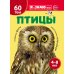 Птицы. Познавательная книга для детей 4-8 лет