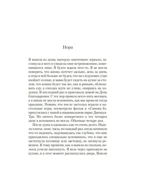 Дополнительное изображение книги «Другие американцы: роман»