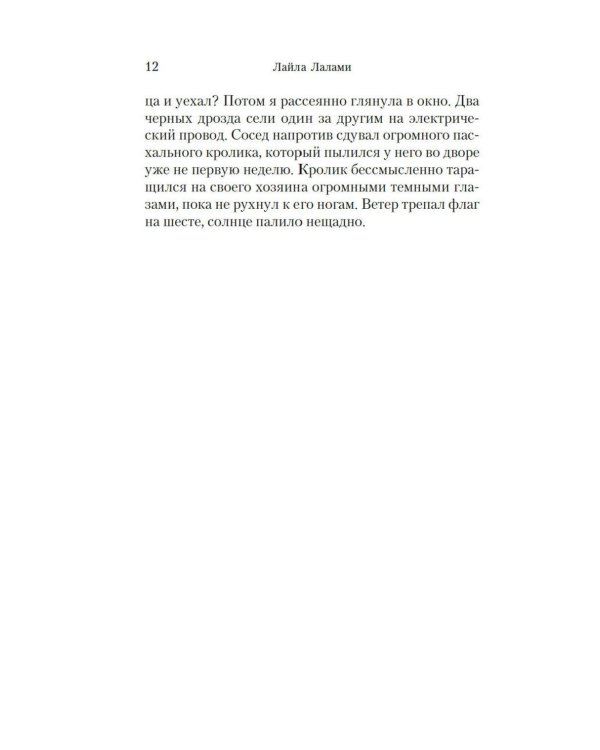Дополнительное изображение книги «Другие американцы: роман»