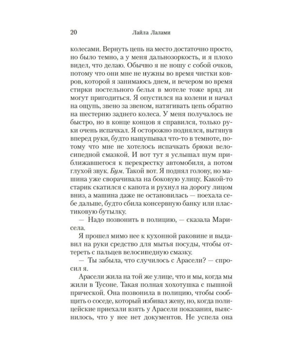 Дополнительное изображение книги «Другие американцы: роман»
