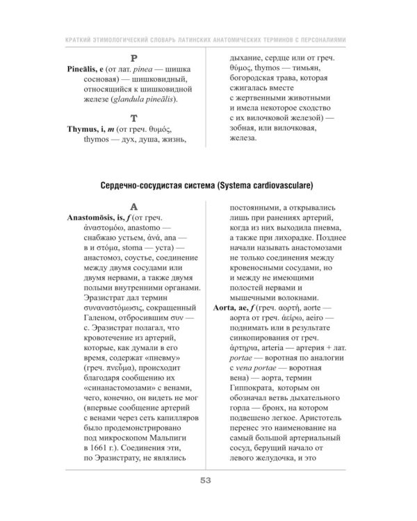 Краткий этимологический словарь латинских анатомических терминов с персоналиями