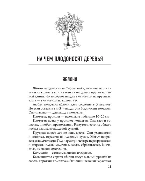 Дополнительное изображение книги «Обрезка и формировка деревьев и кустарников»