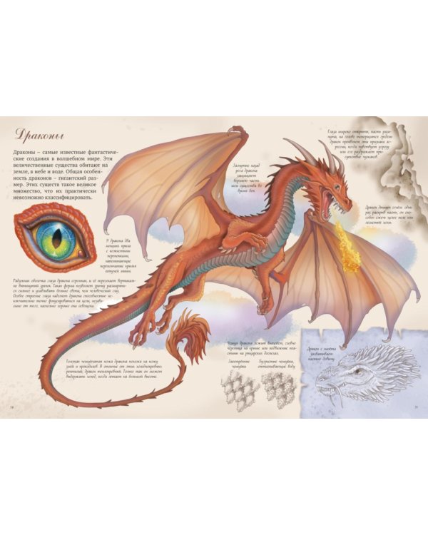 Волшебные существа. Энциклопедия