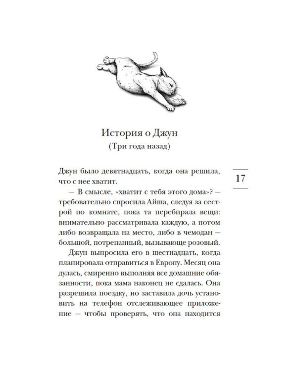 Дополнительное изображение книги «Выходя из дома, не забудьте кота: роман»