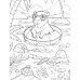 Котики. Капибары: книжка-раскраска