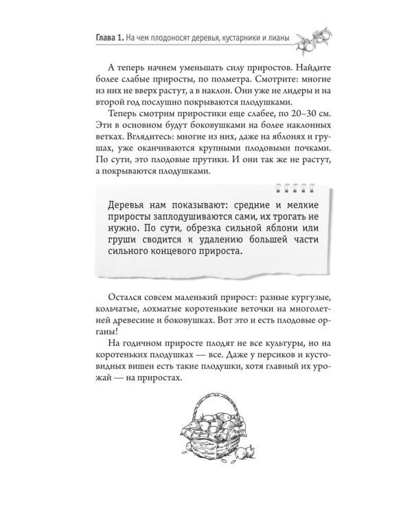 Дополнительное изображение книги «Обрезка и формировка деревьев и кустарников»