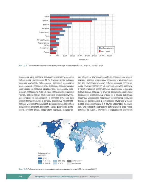 Морфологическая диагностика заболеваний простаты. Руководство для врачей