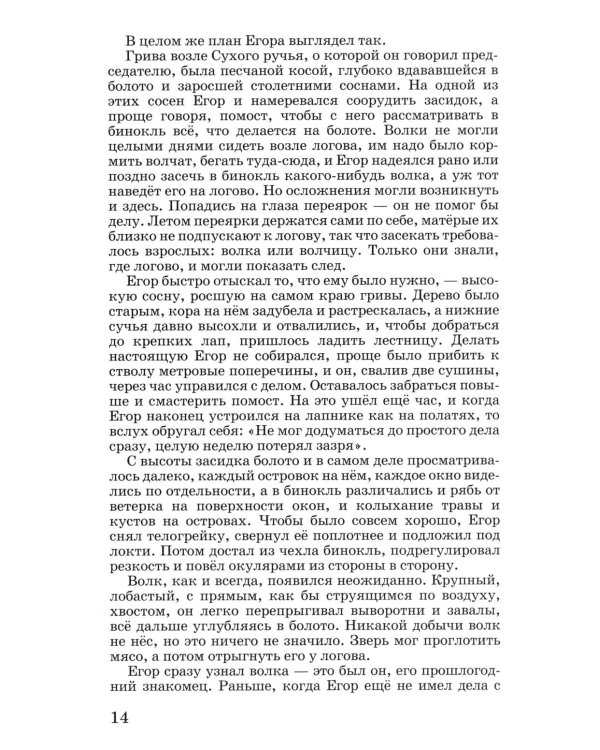 Весьегонская волчица: повесть