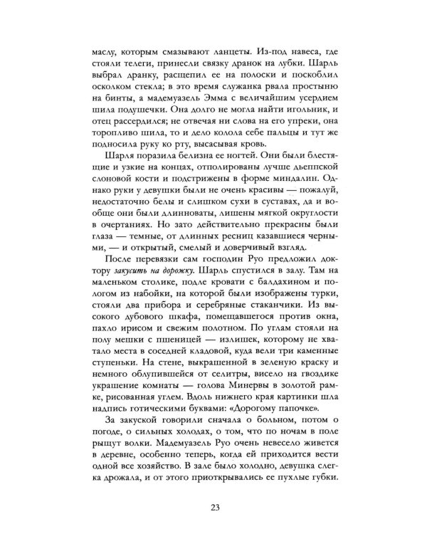 Дополнительное изображение книги «Госпожа Бовари»