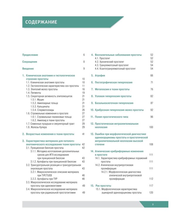 Морфологическая диагностика заболеваний простаты. Руководство для врачей