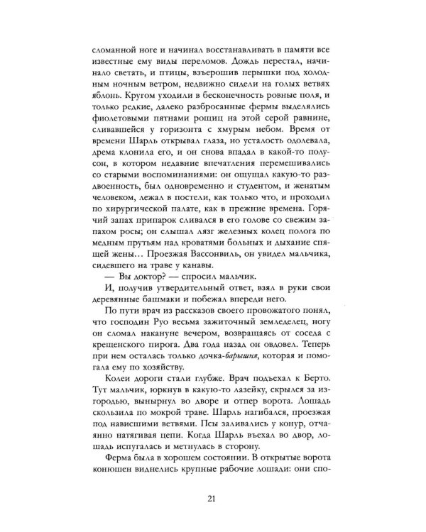 Дополнительное изображение книги «Госпожа Бовари»