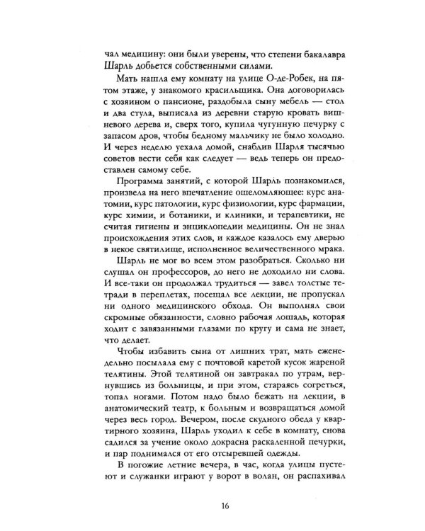 Дополнительное изображение книги «Госпожа Бовари»