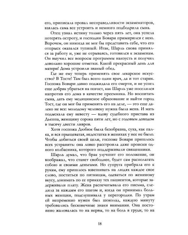 Дополнительное изображение книги «Госпожа Бовари»