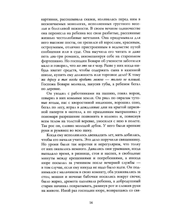 Дополнительное изображение книги «Госпожа Бовари»