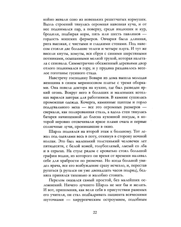 Дополнительное изображение книги «Госпожа Бовари»