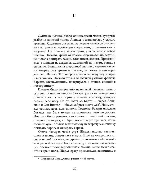 Дополнительное изображение книги «Госпожа Бовари»