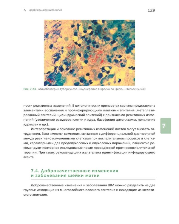 Основы клинической цитологии