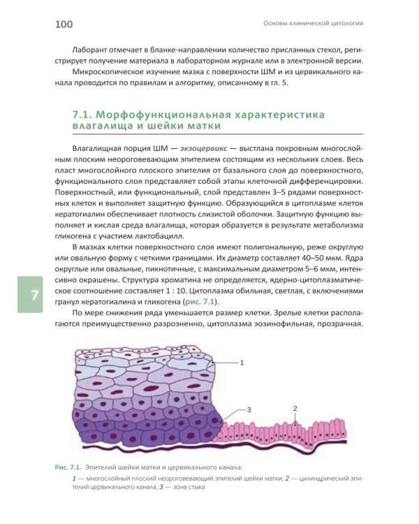 Основы клинической цитологии