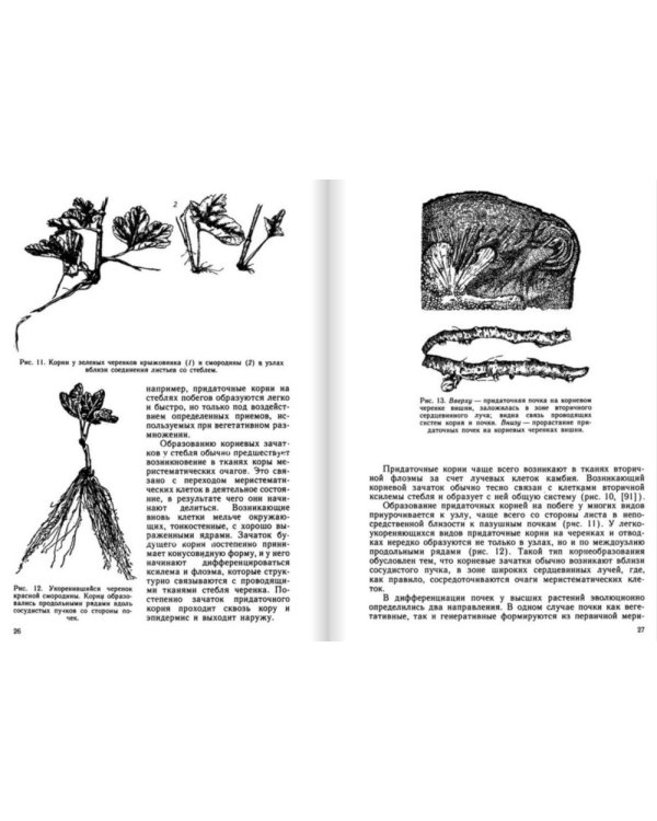 Зеленое черенкование садовых и лесных культур: Теория и практика. 2-е изд., стер