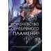 Королевство серебряного пламени: роман